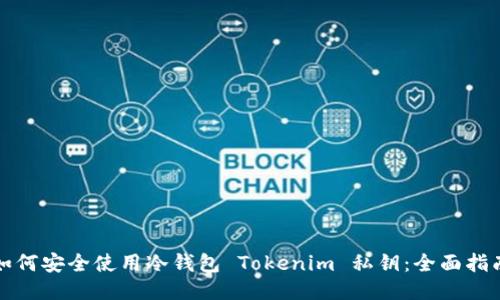 如何安全使用冷钱包 Tokenim 私钥：全面指南