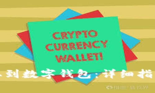 如何将狗狗币提取到数字钱包：详细指南与常见问题解答