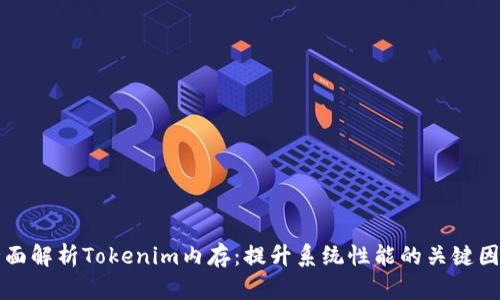 全面解析Tokenim内存：提升系统性能的关键因素