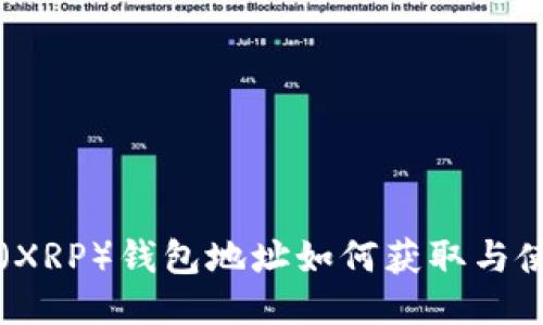 瑞波币（XRP）钱包地址如何获取与使用指南
