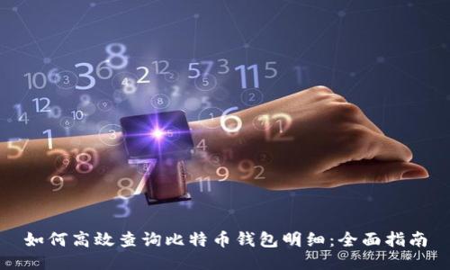 如何高效查询比特币钱包明细：全面指南