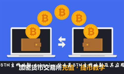 BTM主网映射 tokenim：什么是BTM主网映射及其应用