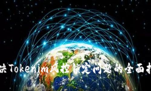 解决Tokenim风控锁定问题的全面指南