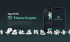 将比特币存放在钱包的安全性解析