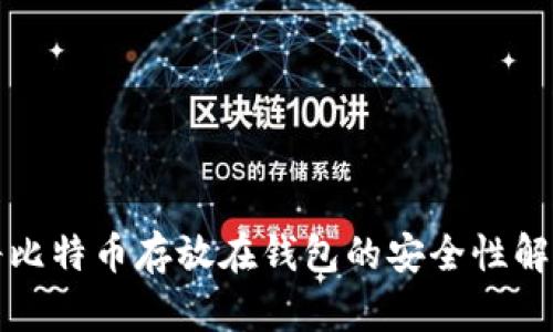 将比特币存放在钱包的安全性解析