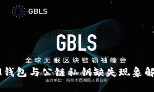 IM钱包与公链私钥缺失现象解析