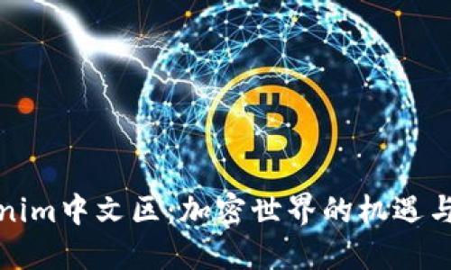 Tokenim中文区：加密世界的机遇与挑战