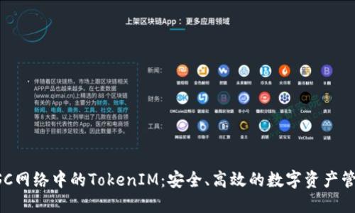 深入探讨BSC网络中的TokenIM：安全、高效的数字资产管理解决方案