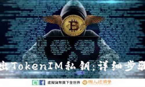 如何安全导出TokenIM私钥：详细步骤与最佳实践