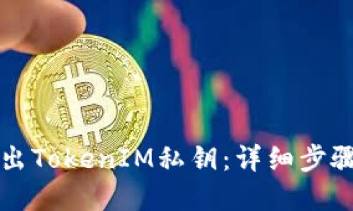 如何安全导出TokenIM私钥：详细步骤与最佳实践