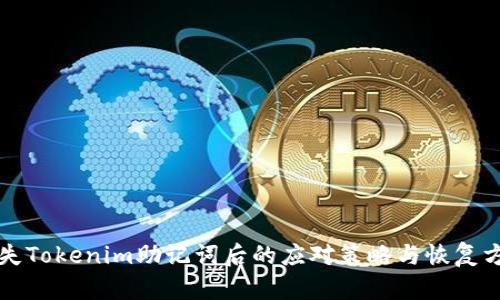 丢失Tokenim助记词后的应对策略与恢复方法