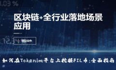 如何在Tokenim平台上挖掘FIL币：全面指南