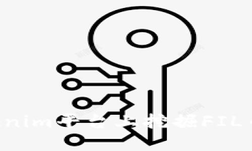 如何在Tokenim平台上挖掘FIL币：全面指南