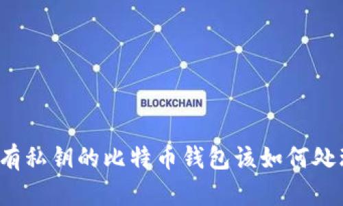 没有私钥的比特币钱包该如何处理？