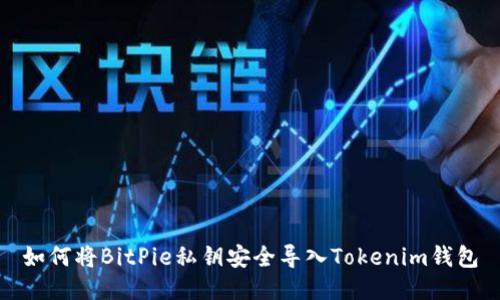 如何将BitPie私钥安全导入Tokenim钱包