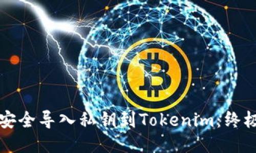 如何安全导入私钥到Tokenim：终极指南