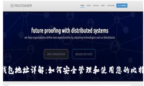 比特币钱包地址详解：如何安全管理和使用您的比特币地址