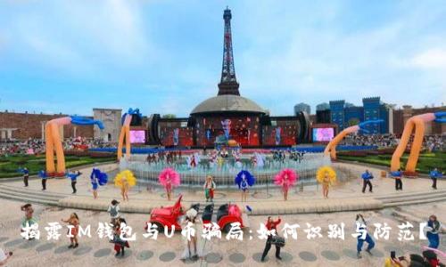 揭露IM钱包与U币骗局：如何识别与防范？