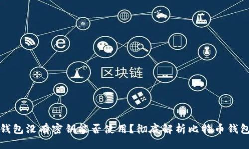 比特币钱包没有密钥能否使用？彻底解析比特币钱包安全性