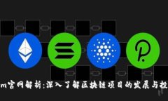 Tokenim官网解析：深入了解区块链项目的发展与投