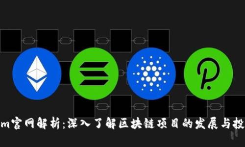 Tokenim官网解析：深入了解区块链项目的发展与投资机会
