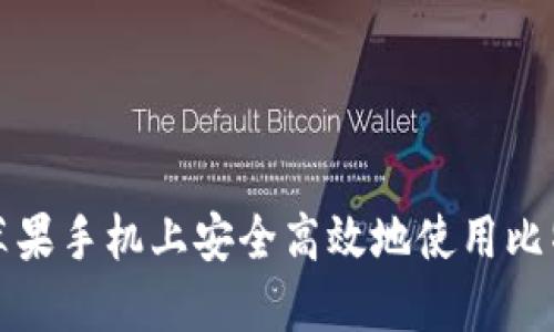 如何在苹果手机上安全高效地使用比特币钱包