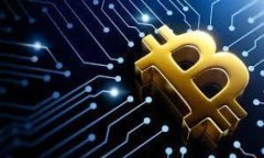 在讨论比特币钱包的种类和功能时，首先要明确