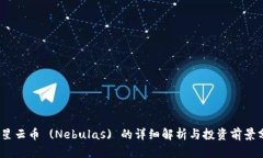 # 星云币 (Nebulas) 的详细解析与投资前景分析