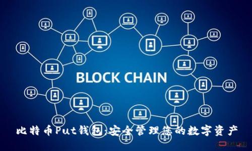 比特币Put钱包：安全管理您的数字资产