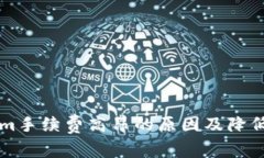 分析Tokenim手续费高昂的原因及降低成本的方法