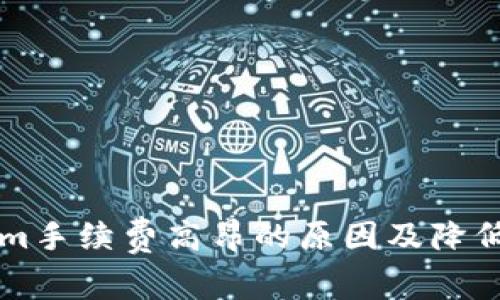 分析Tokenim手续费高昂的原因及降低成本的方法