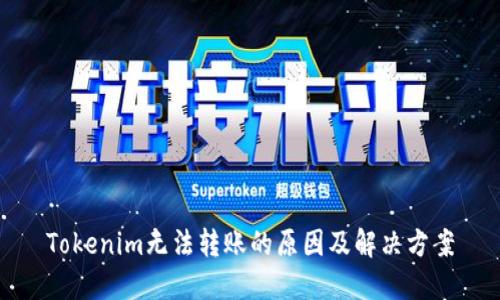 Tokenim无法转账的原因及解决方案