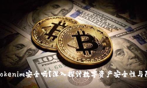 联网的Tokenim安全吗？深入探讨数字资产安全性与防护策略