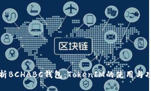 深入解析BCHABC钱包：TokenIM的使用与功能详解