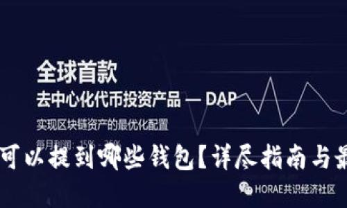 SHIB币可以提到哪些钱包？详尽指南与最佳选择