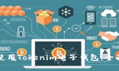 如何使用Tokenim电子钱包：全面指南