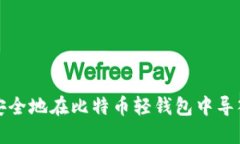 如何安全地在比特币轻钱包中导入私钥