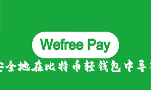 如何安全地在比特币轻钱包中导入私钥