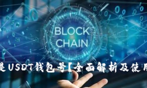 什么是USDT钱包号？全面解析及使用指南