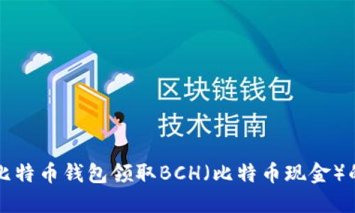 如何通过比特币钱包领取BCH（比特币现金）的详细指南