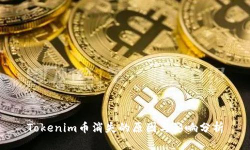 Tokenim币消失的原因与影响分析