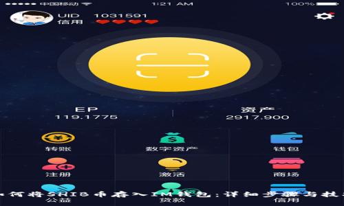 如何将SHIB币存入IM钱包：详细步骤与技巧
