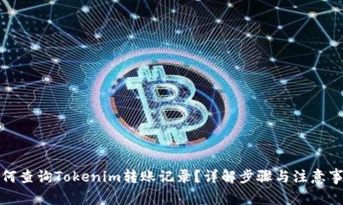 如何查询Tokenim转账记录？详解步骤与注意事项