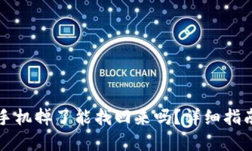 以太坊钱包手机掉了能找回来吗？详细指南及解决方案