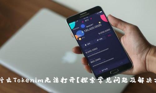 为什么Tokenim无法打开？探索常见问题及解决方案