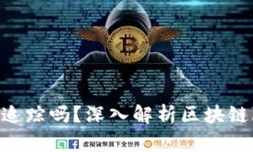 Tokenim能被追踪吗？深入解析区块链隐私与安全性