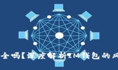 IM钱包安全吗？深度解析IM钱包的风险与防范