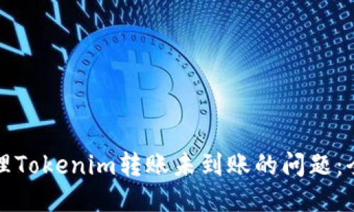 如何处理Tokenim转账未到账的问题：全面指南