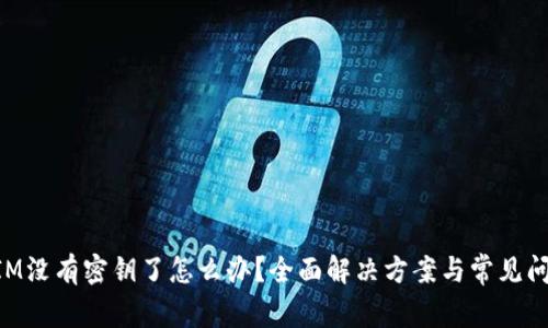 TokenIM没有密钥了怎么办？全面解决方案与常见问题解析