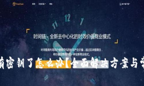 TokenIM没有密钥了怎么办？全面解决方案与常见问题解析